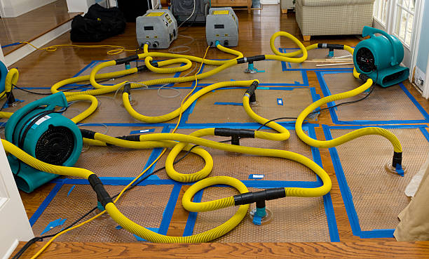 Professional Crawl Space Water Removal technician working in Chesaning, MI