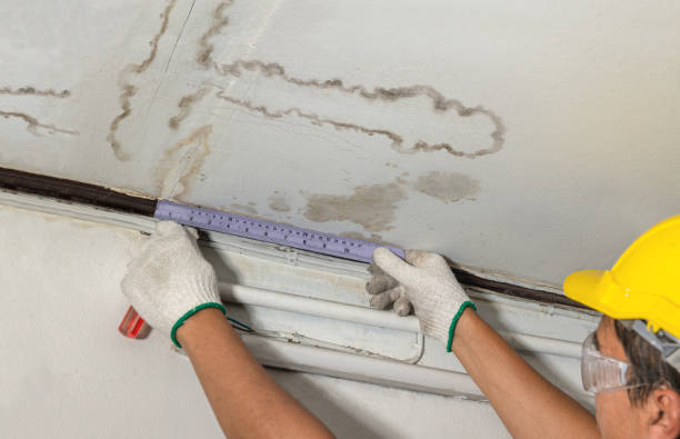Affordable Water Damage Repair solutions in Chesaning, MI